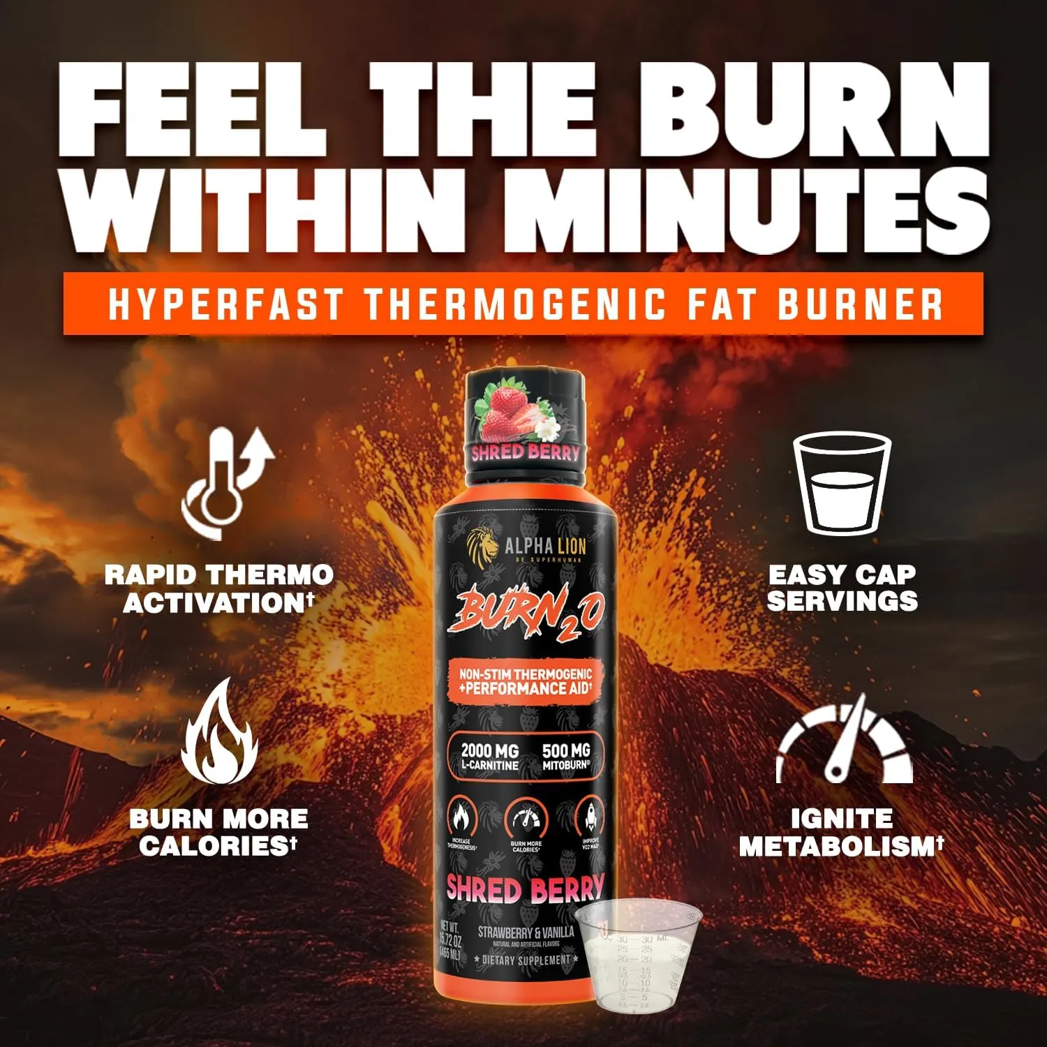 ALPHA LION Burn 20 L-Carnitine Liquid 2000mg, Premium Liquid Fat Burner & Pre-Workout Supplement for Men & Women - Natural Energy & Metabolism Booster for Weight Loss - ShredBerry