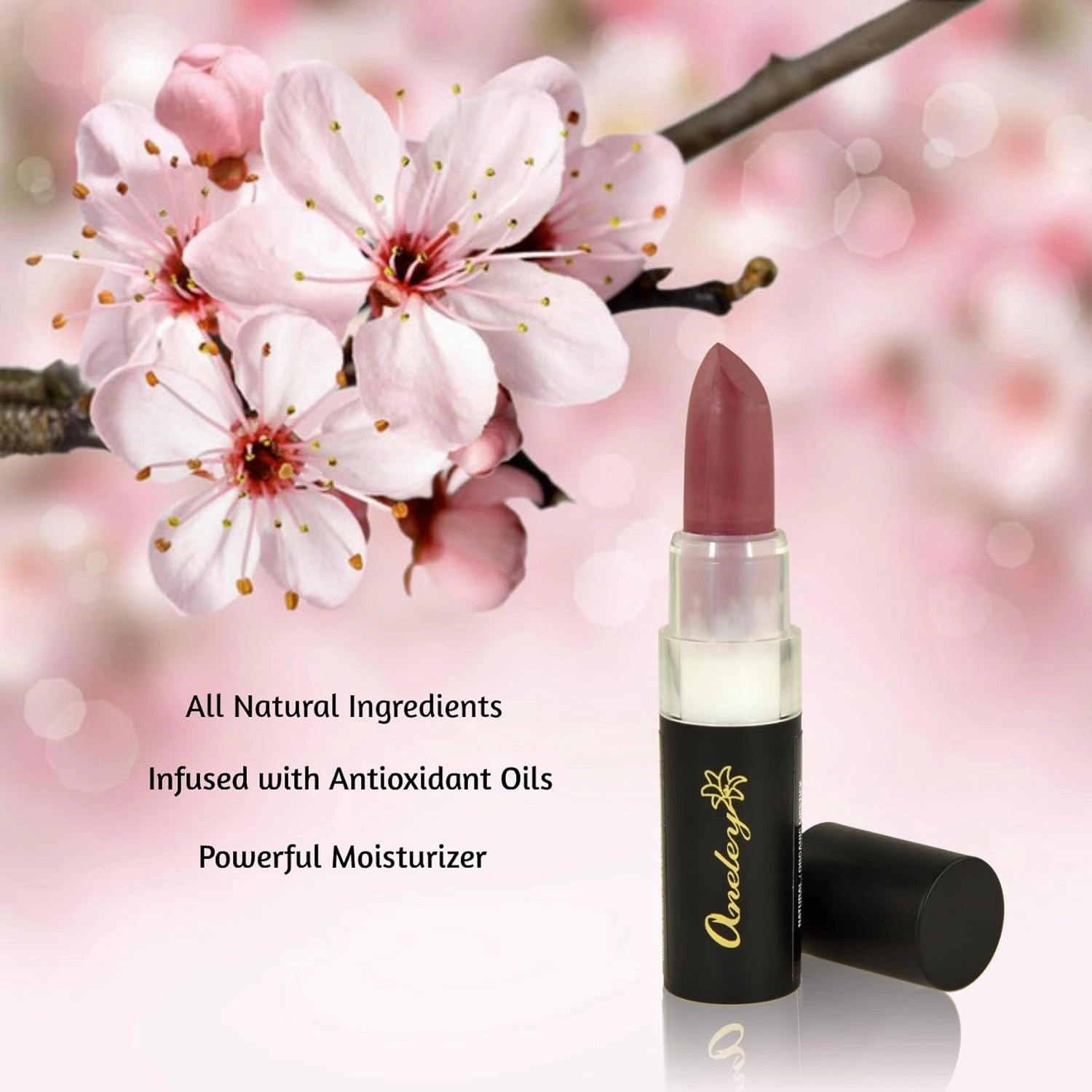 Aneley Cosmetics Vegan Lipstick Organic Natural Gluten Free Cruelty Free Moisturizing Nourishing balm Mineral Based lipstick Infused With Powerful Antioxidant Oils vibrant shades (Purely Plum)