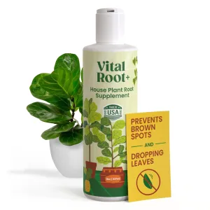 Berkland Vital Root  Liquid Root Stimulator and Root Supplement for Fiddle Leaf Fig & Indoor Plants - Propagation Promoter & Root Rot Treatment - Food for Healthy Roots, Stems & Leaves