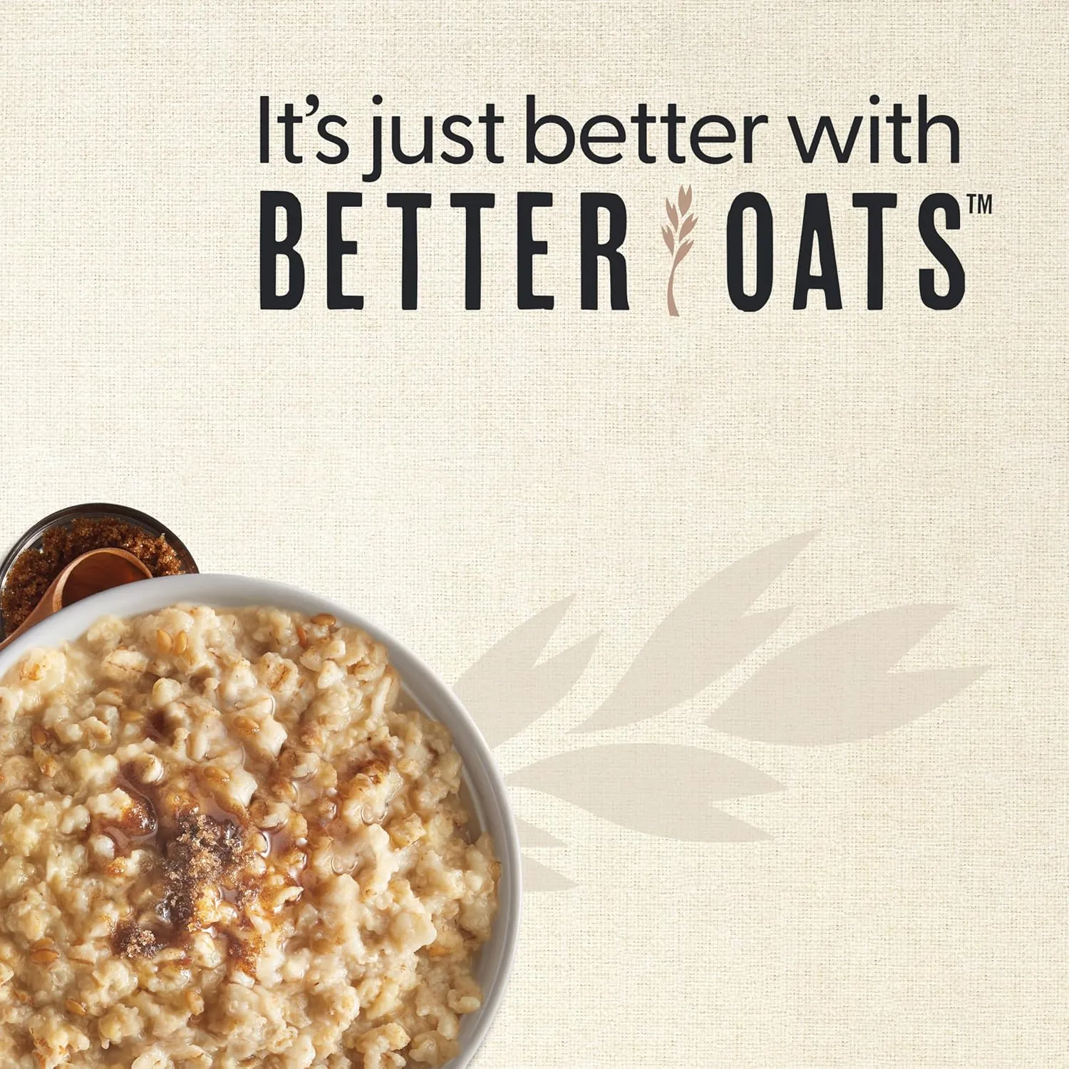 Better Oats Steel Cut Protein Maple and Brown Sugar Oatmeal with Flax Seeds, Quick-Cooking, Box of 8 Pouches (Pack of 6)