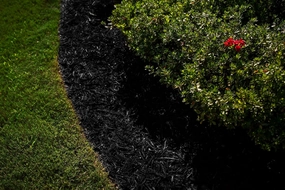 Black Dye, 3,200 Square Feet Coverage - Colorant for Landscaping & Garden Beds, Wood Mulch Color Restorer & Playground Bark, Eco-Friendly Paint - 1-Quart