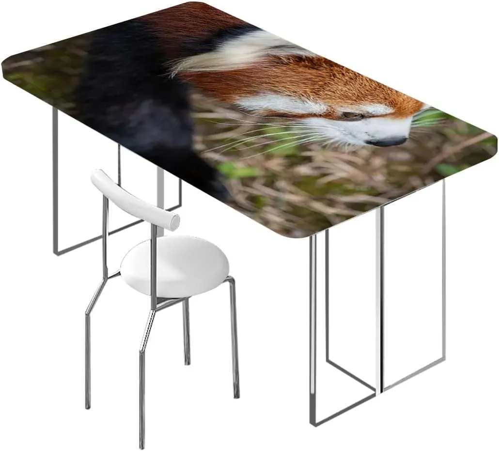 Brown Green Elastic Tablecloth Africa Panda Activity Eco Photo Waterproof Tablecloths for Picnic, Camping, Indoor, Outdoor Jungle Animals Fits up 5 Foot Tables