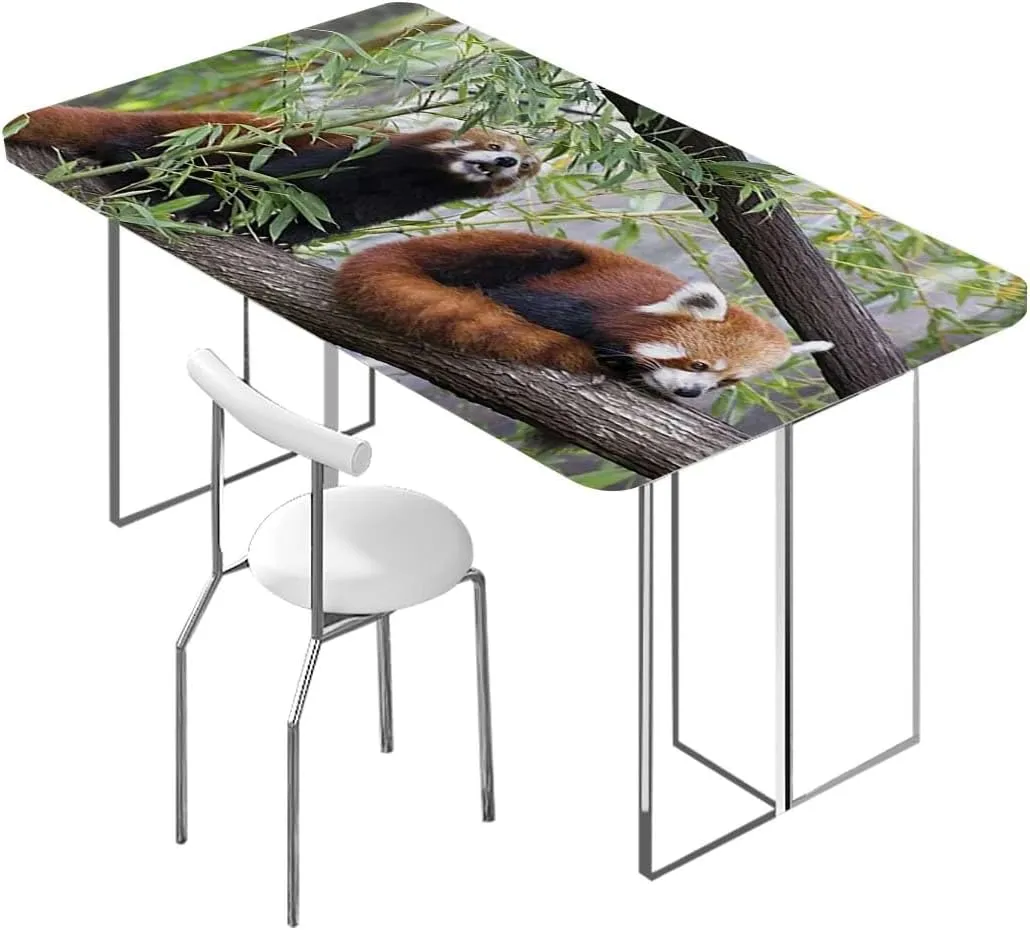 Brown Green Elastic Tablecloth for Indoors Outdoors Africa Panda Activity Eco Photo for Dining Tables,Buffet Parties and Camping Jungle Animals Fits up 4 Foot Tables