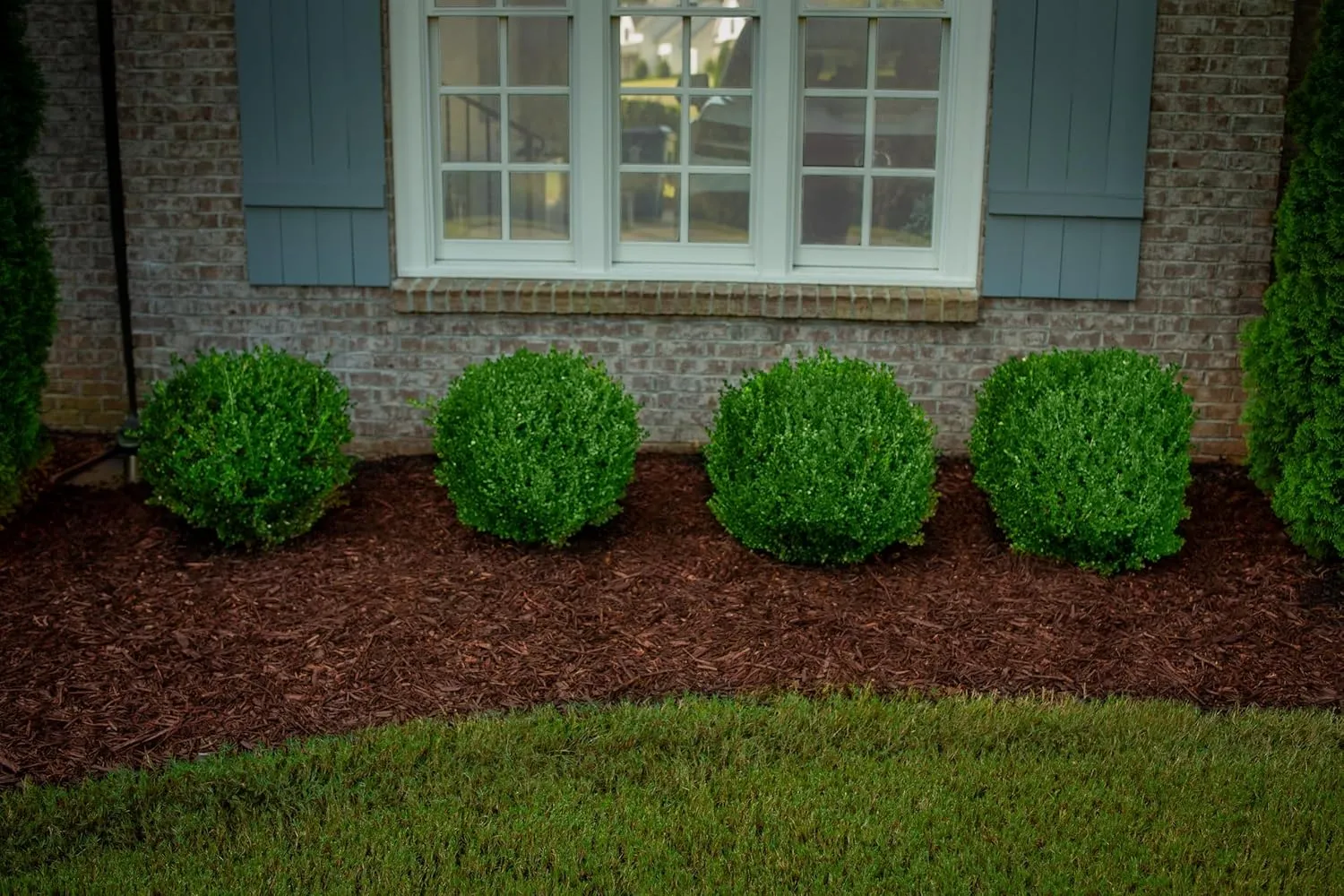 Brown Mulch Dye, 3,200 Square Feet Coverage – Mulch Colorant for Landscaping & Garden Beds, Wood Mulch Dye, Mulch Color Restorer & Playground Bark Mulch, Eco-Friendly Mulch Paint – 1-Quart
