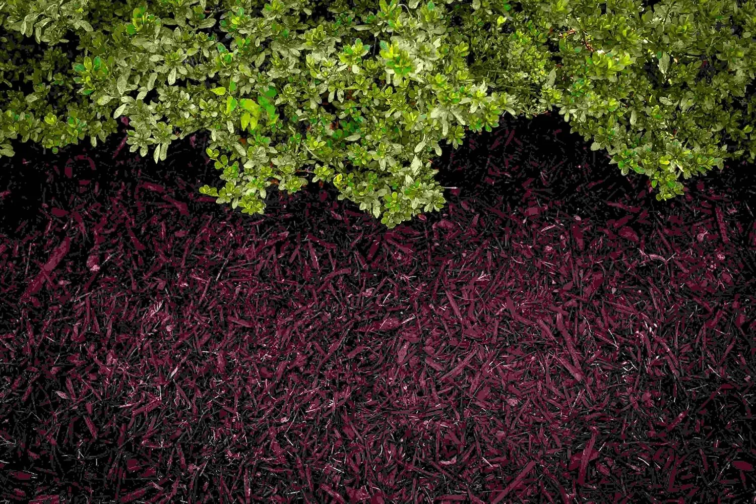 Brown Mulch Dye, 3,200 Square Feet Coverage – Mulch Colorant for Landscaping & Garden Beds, Wood Mulch Dye, Mulch Color Restorer & Playground Bark Mulch, Eco-Friendly Mulch Paint – 1-Quart