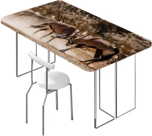 Brown Tan Elastic Edge Fitted Table Cloth, Fight Battle Between Two Gemsbok on Plains Rectangle Table Cover for Outdoor Picnic Camping Parties Africa Fits up 5 Foot Tables