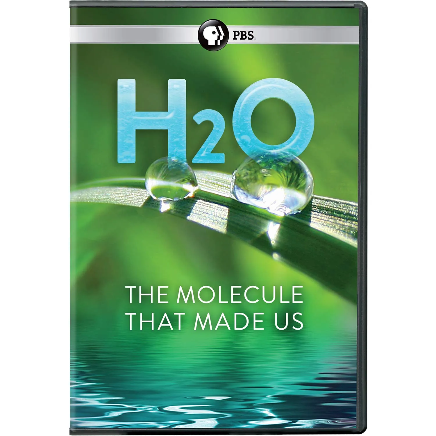 H2O: The Molecule That Made Us