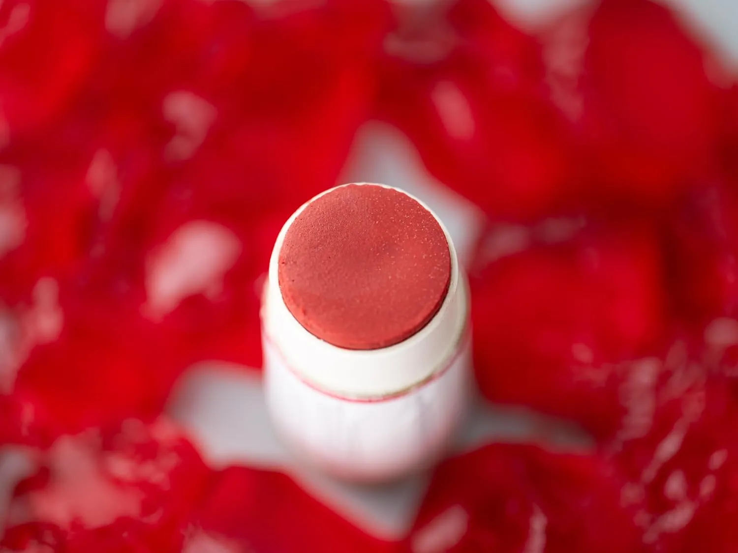 J&L Naturals Tinted Lip Balm | Vegan & Cruelty Free Lip Stain | Zero Waste Makeup | Plastic-Free, Hydrating & Moisturizing Lip Tint | Made in US (Bundle (5-Pack), Variety (1 x Each Color))