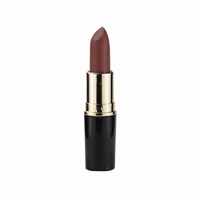 Matte Waterproof LipStick, 14 Colors Long Lasting Lip Makeup No Fade Pigmented Lip Stick Cosmeitc Gift for Girls and Women (13#)