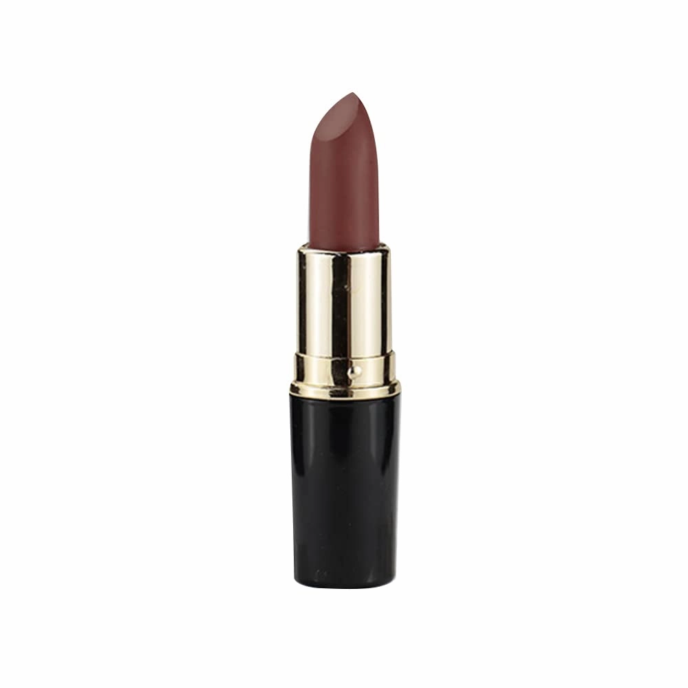 Matte Waterproof LipStick, 14 Colors Long Lasting Lip Makeup No Fade Pigmented Lip Stick Cosmeitc Gift for Girls and Women (13#)