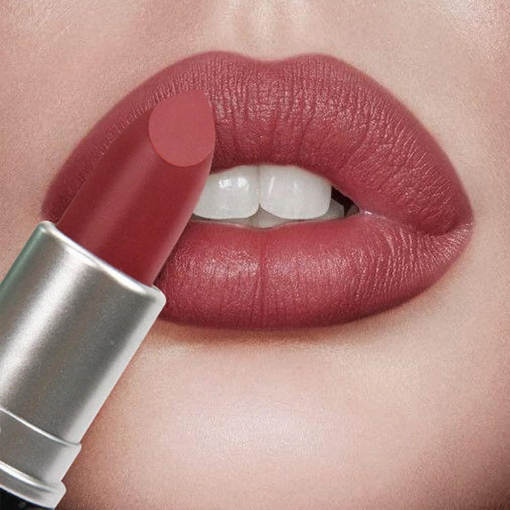 Matte Waterproof LipStick, 14 Colors Long Lasting Lip Makeup No Fade Pigmented Lip Stick Cosmeitc Gift for Girls and Women (13#)