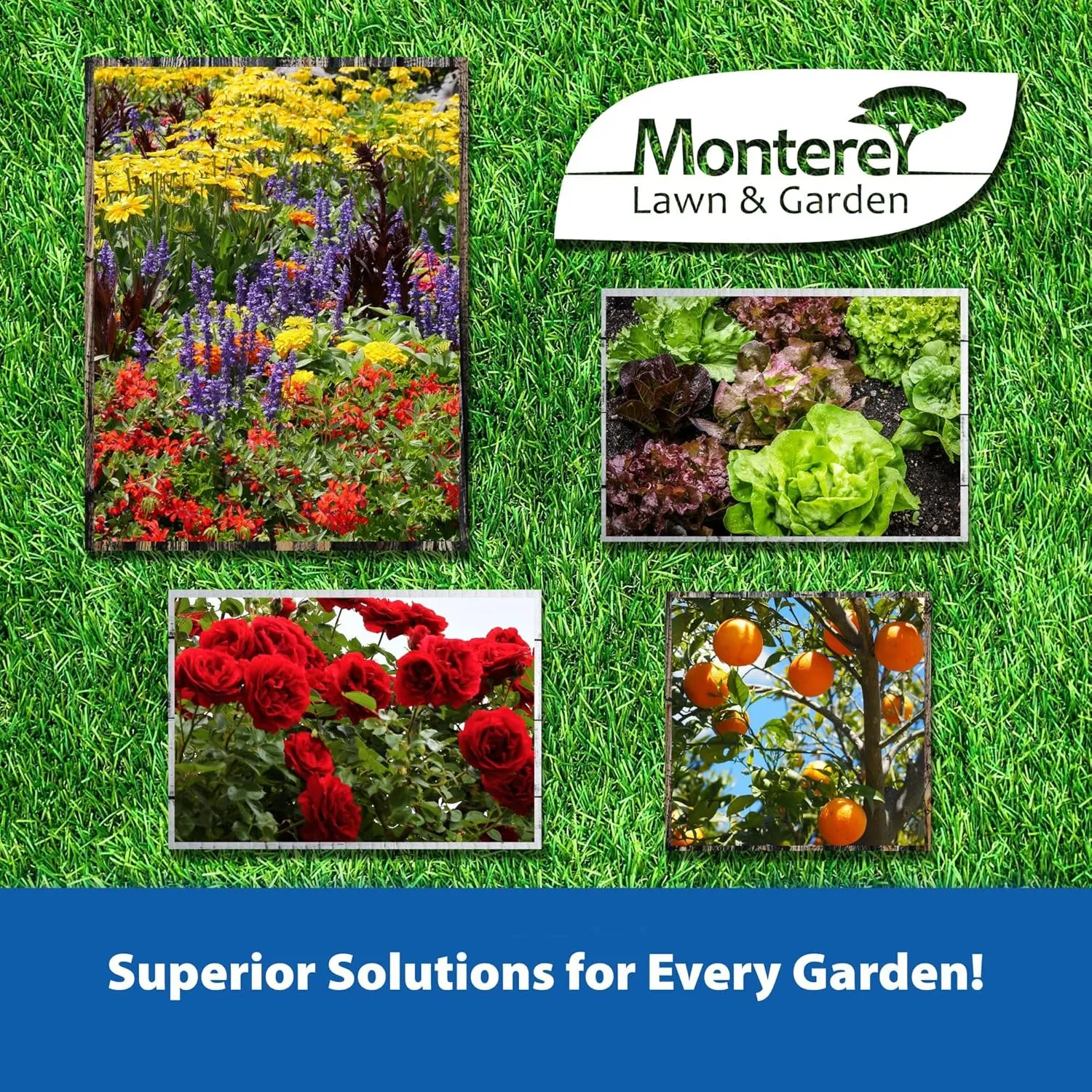 Monterey Liqui-Cop Bundled with Garden Measuring Spoon - Copper Fungicidal Garden Spray for Disease Prevention in Plants, Ready to Spray, 1 Quart