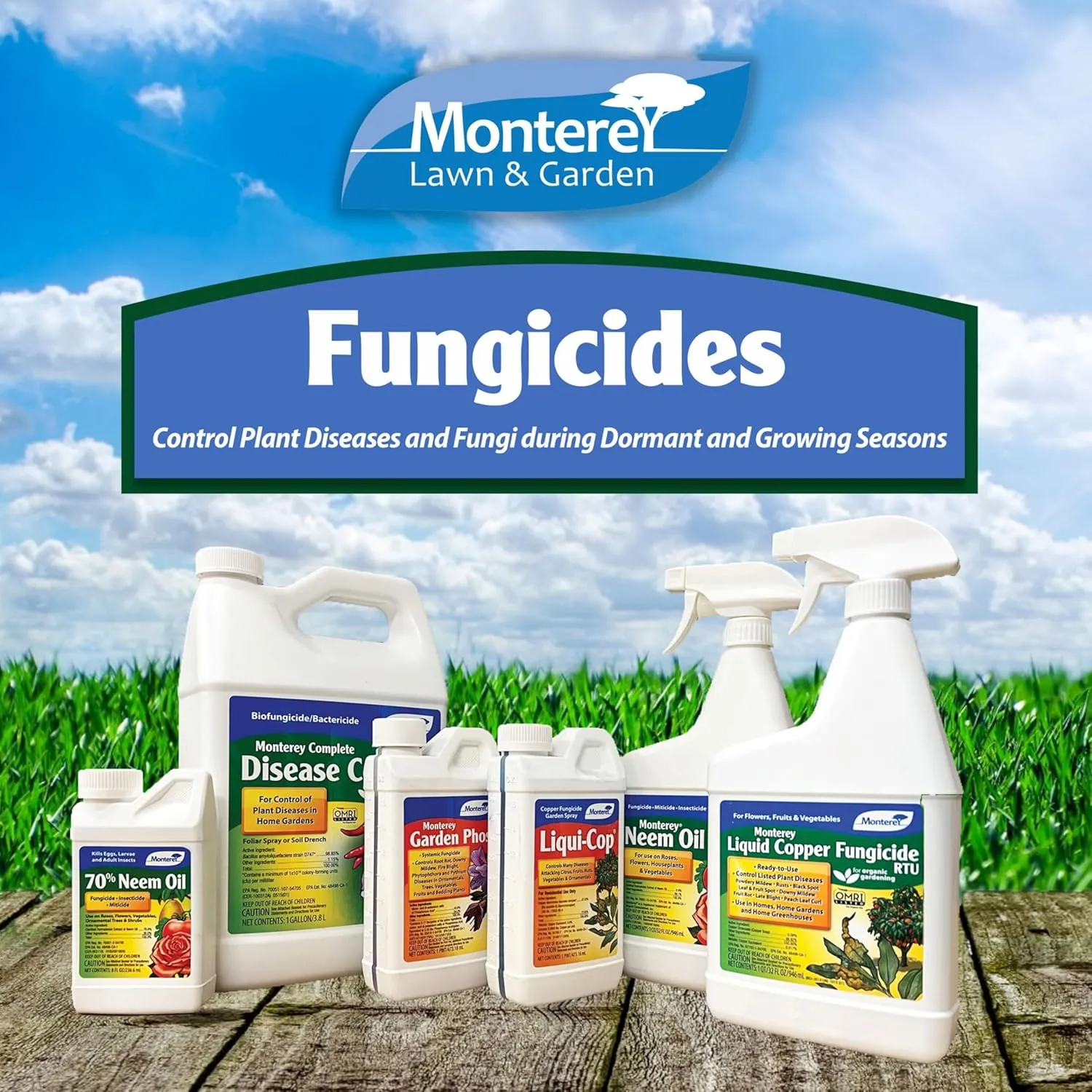 Monterey Liqui-Cop Bundled with Garden Measuring Spoon - Copper Fungicidal Garden Spray for Disease Prevention in Plants, Ready to Spray, 1 Quart