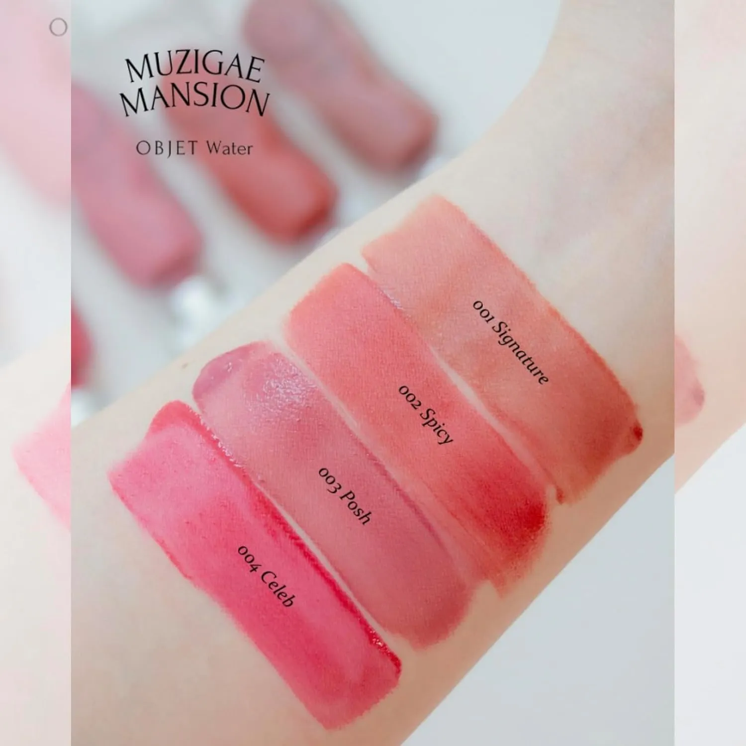 Objet Water Lip Stain Matte Lipstick – (Watery to Blurry Tint), Long-Lasting, Hydrating, Waterproof Wear – K-Beauty Liquid Lipstick for Women, Bold Red Tinted Gloss (002 SPICY)