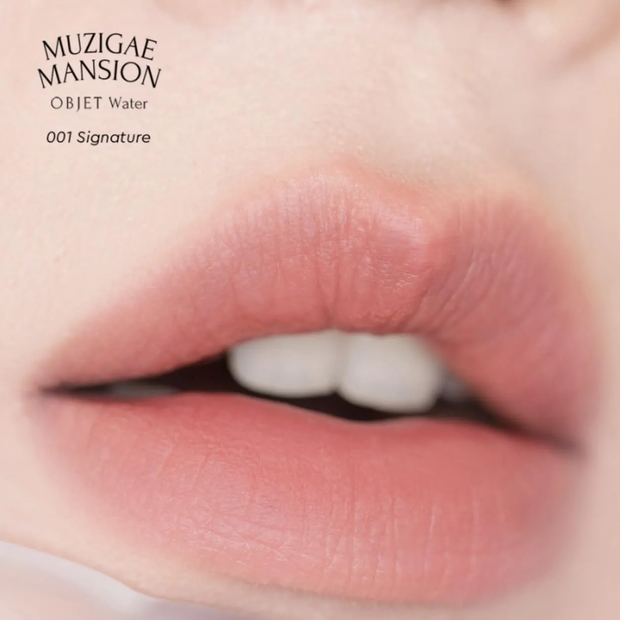 Objet Water Lip Stain Matte Lipstick – (Watery to Blurry Tint), Long-Lasting, Hydrating, Waterproof Wear – K-Beauty Liquid Lipstick for Women, Bold Red Tinted Gloss (01 SIGNATURE)