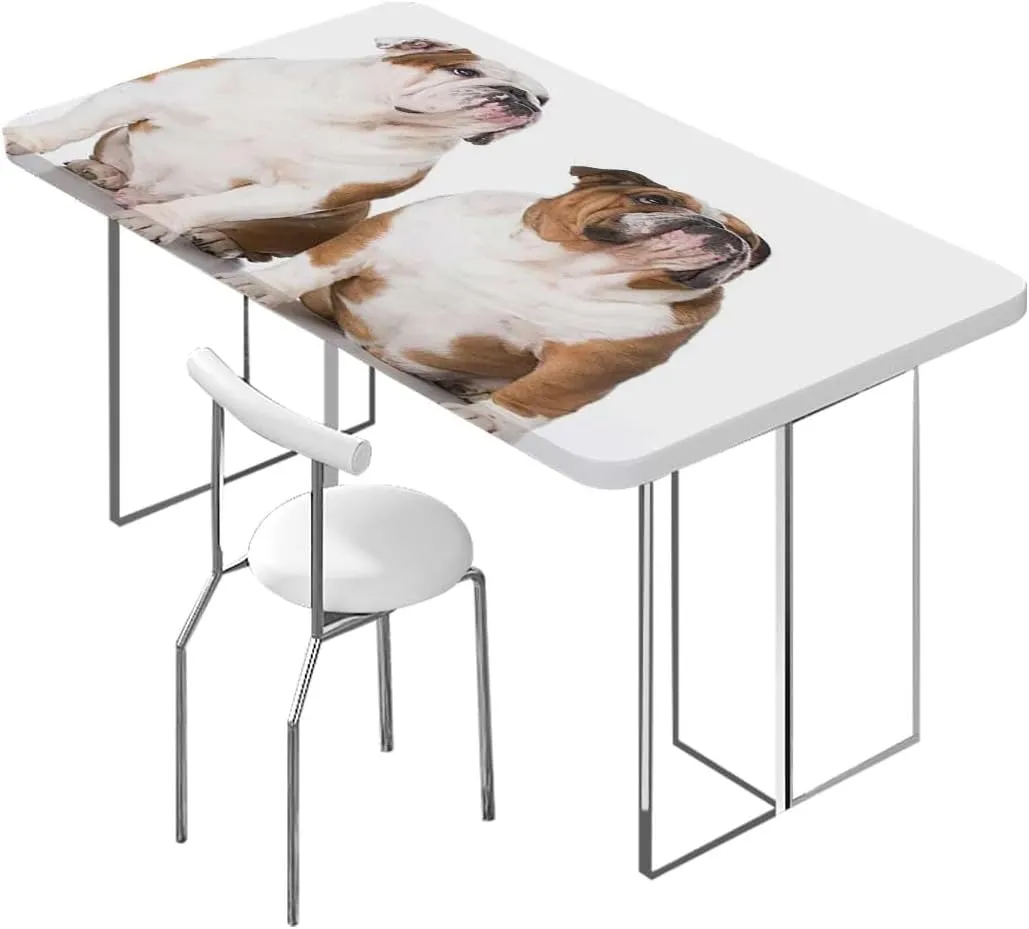 OOzie Brown Cream Elastic Fitted Tablecloth English Bulldog Sad Tired Table Cloth for Indoor Outdoor Picnic Parties Dog Lover Decor Fits up 5 Foot Tables