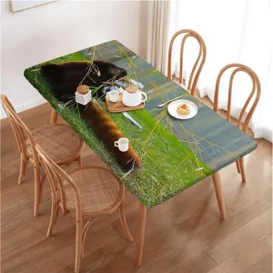 OOzie Brown Green Fitted Tablecloth for Rectangle Table Africa Panda Activity Eco Photo Elastic Edged Picnic Table Covers ​for Camping, Dining, Outdoor, Park, Patio,for 4 Foot Tables Jungle Animals