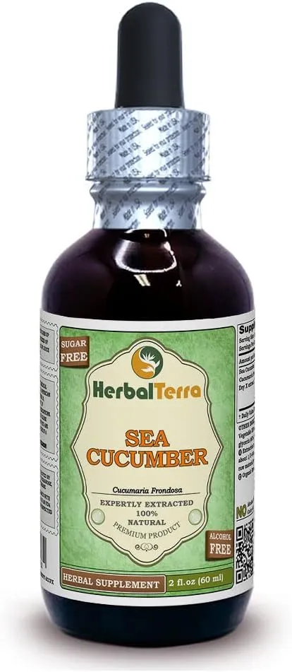 Sea Cucumber (Cucumaria Frondosa) Glycerite, Dried Sea Cucumber Alcohol-Free Liquid Extract 2 oz