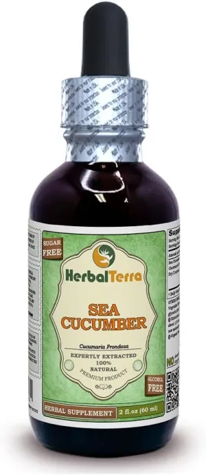 Sea Cucumber (Cucumaria Frondosa) Glycerite, Dried Sea Cucumber Alcohol-Free Liquid Extract 2 oz
