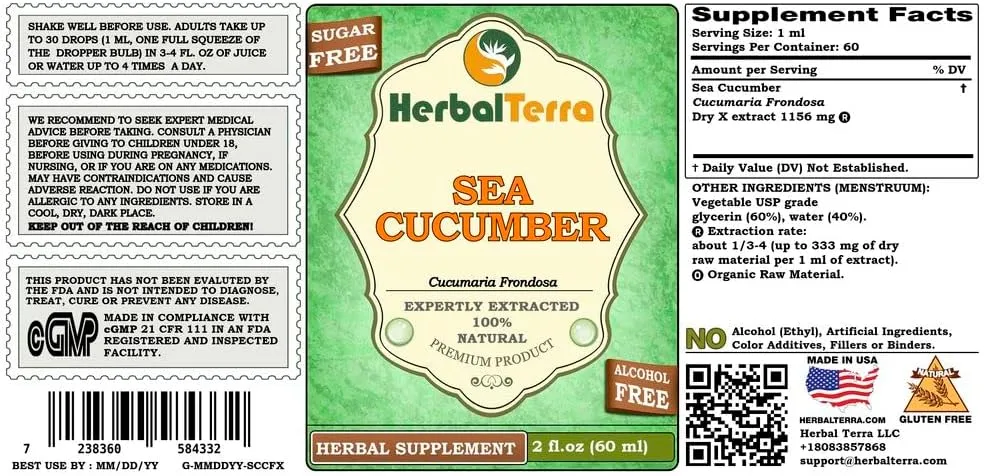 Sea Cucumber (Cucumaria Frondosa) Glycerite, Dried Sea Cucumber Alcohol-Free Liquid Extract 2 oz