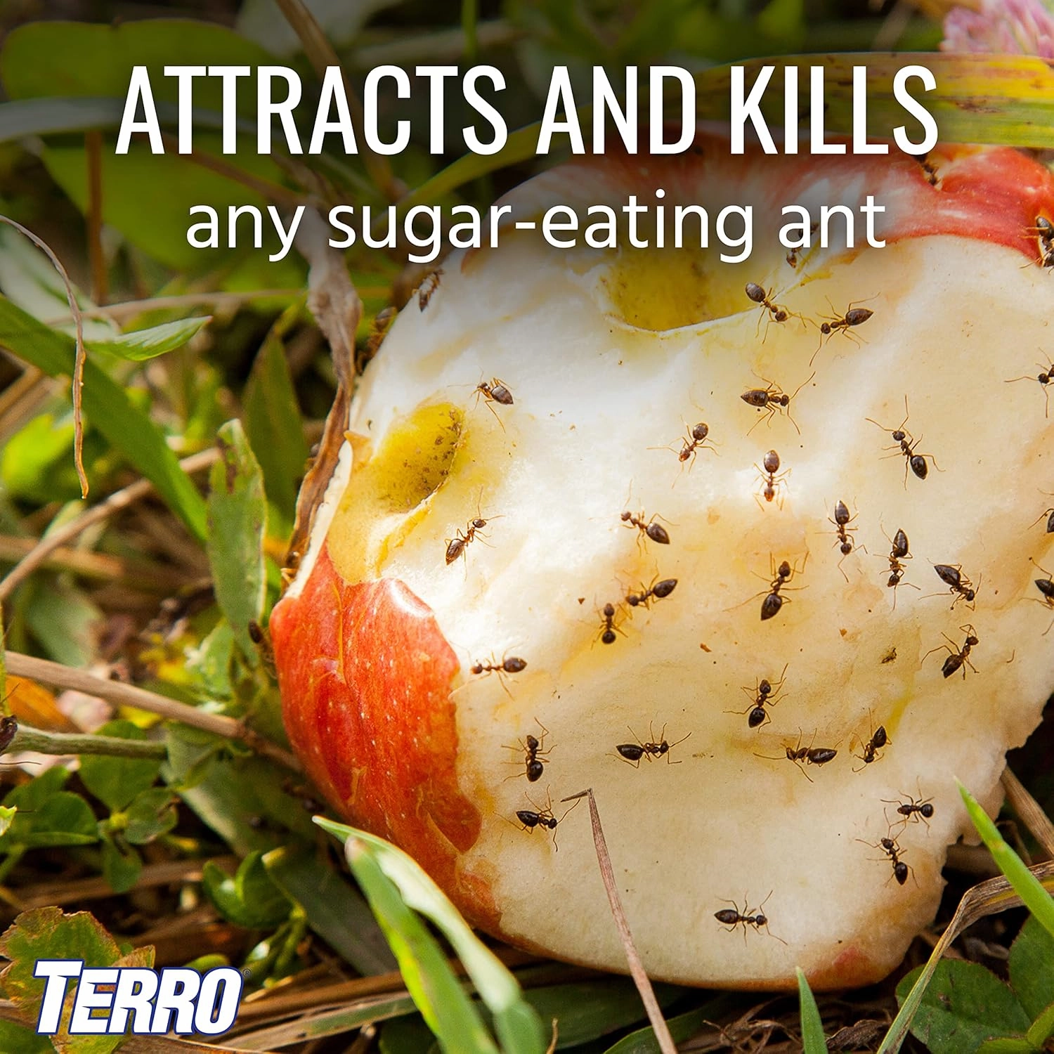TERRO T1812SR Outdoor Liquid Ant Bait Stakes-2 Pack