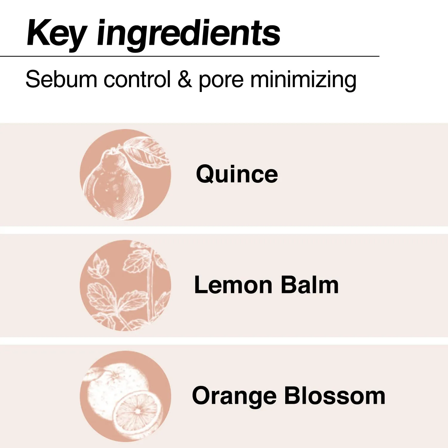 the SAEM Cover Perfection Concealer Cushion With 56 Hours Natural Finish 1.5 Natural Beige - Full Coverage Moisturizing Concealer With 16 Times More Cover Particles - Pore Minimizing Foundation For