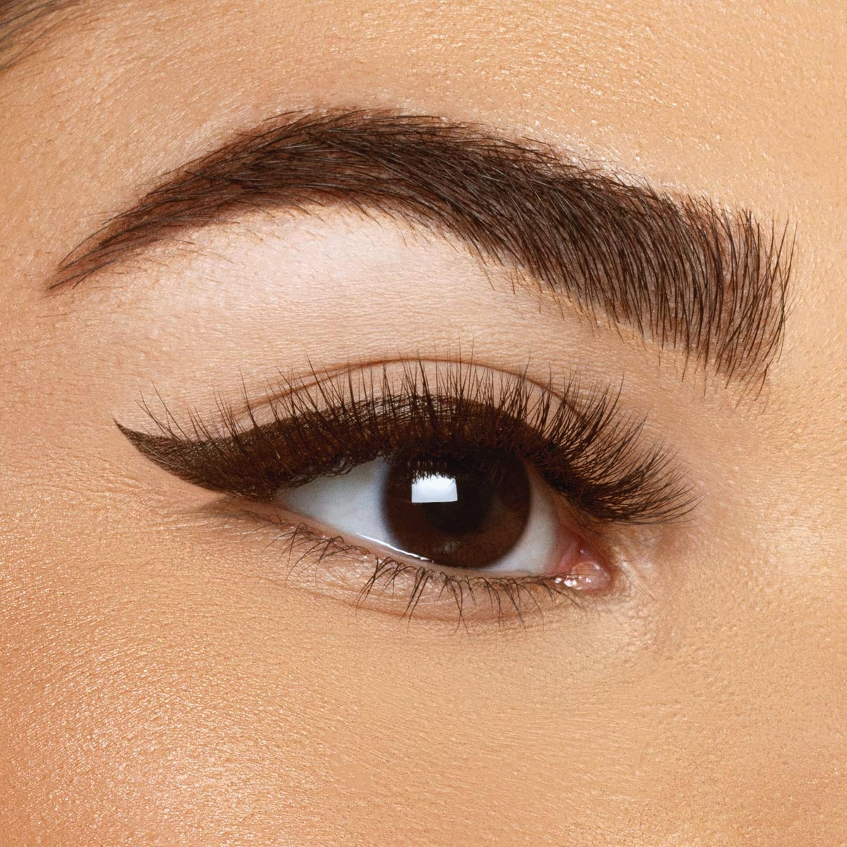 Xtreme Lashes Lash Densifying Liquid Eyeliner, Dark Brown