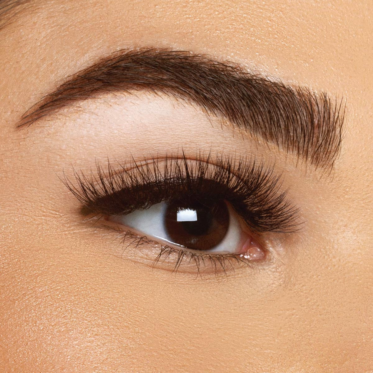 Xtreme Lashes Lash Densifying Liquid Eyeliner, Dark Brown